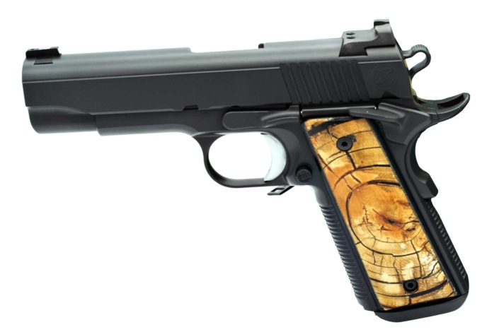 Nighthawk Custom - The Bull